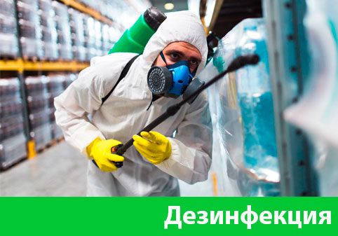Дезинфекция в городе Нижний Тагил