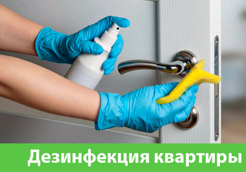 Дезинфекция квартиры в городе Нижний Тагил