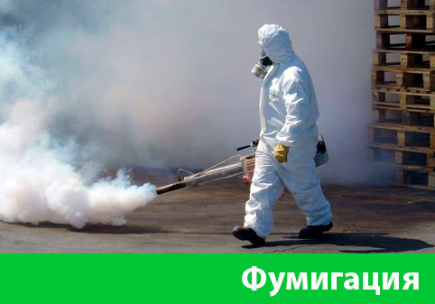 Фумигация в городе Нижний Тагил
