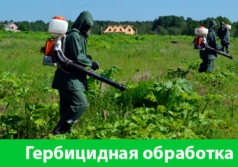 Гербицидная обработка в городе Нижний Тагил