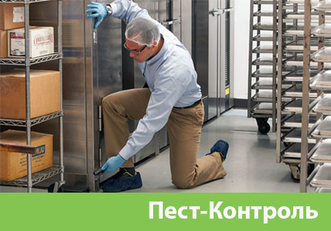 Пэст-Контроль в городе Нижний Тагил