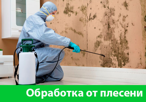 Обработка от плесени в городе Нижний Тагил