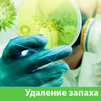 Удаление запахов в Нижнем Тагиле