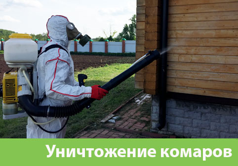 Уничтожение комаров в городе Нижний Тагил